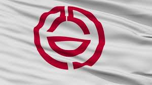 You hereby agree that you agree. Close Up Of Waving Flag With Stock Footage Video 100 Royalty Free 23810458 Shutterstock