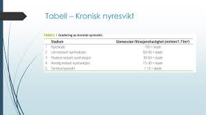 Kronisk nyresvikt inntreffer når noe går galt med denne filtreringsprosessen og når problemet vedvarer over lang tid. Ppt Nedsatt Nyrefunksjon Powerpoint Presentation Free Download Id 2122069