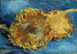 A light yellow and dark mustard yellow being split by a thin black line makes the background of this piece. Sunflowers By Vincent Van Gogh Paper Print Met Custom Prints