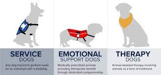 There are service dogs, known as psychiatric service dogs that require extensive training to work specifically with people whose disability is due to mental illness. Trained Emotional Support Dog