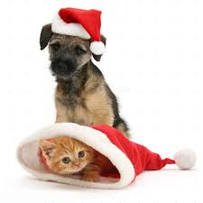 Cat Dog Christmas Santa Claus Hat Funny Pet Kitty Puppy Pet Pillow Cushion Cover Animal Pillows Christmas Dog Cushion Pillow Covers