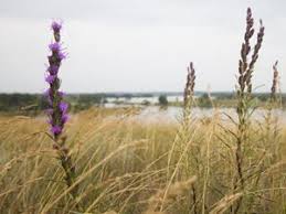The Nature Conservancy In Minnesota