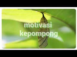 Bahwasanya, anda dan pasangan tidak harus memiliki pemikiran yang sama, asal saling cinta dan allah mengizinkan, kalian akan dipersatukan dalam ikatan asmara. Affectacne Kata Bijak Buat Anak Manja