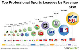 Top Professional Sports Leagues By Revenue