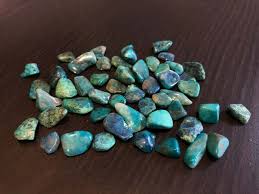 Image result for Chrysochloa