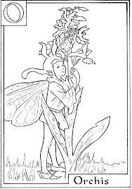 Fairies are beloved and beautiful creatures, we just can't get enough. Flower Fairies Coloring Pages Fairy Coloring Pages Fairy Coloring Coloring Pages