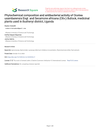 Image result for Secamone africana