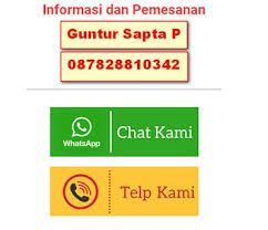 Jual Madu Pucheng Original Bisa Kirim Ke Tambaksari Surabaya Jawa Timur Madu Phuceng Surabaya Wa 087828810342 Surabaya The Originals Sent
