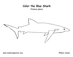 If we had to pinpoint one of the most universally pleasing colors when it comes to interi. Shark Blue Coloring Page