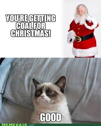 At Least Something Will Keep Me Warm All Winter Grumpy Cat Christmas Grumpy Cat Grumpy Cat Humor