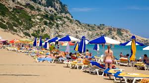 Image result for Thamnosma rhodesica