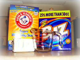 Borax is inexpensive and has many amazing purposes. Day 161 Diy Laundry Detergent Diy Laundry Detergent Laundry Detergent Laundry Soap Homemade