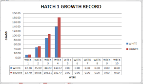 Quail Growth Record For Our First Quail Hatch Ss Prepper