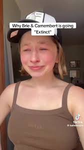 Brie Cheese with White Mold