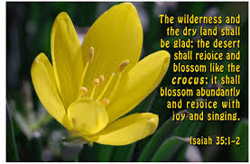 Be glad! May you find abundant blossoms; rejoice with joy and ...