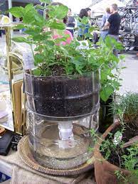 Best 9 Simple Self Watering Planters To Reduce Gardeners Workload Diy Self Watering Planter Self Watering Planter Small Water Gardens