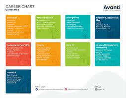 career chart commerce 28 may 2019 avanti learning centres