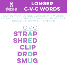 These are considered the simplest words and the starting point of many phonics programs (after some work on initial sounds). C V C Words Ginseng English Learn English