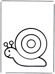 Schnecke Malvorlagen Zoo