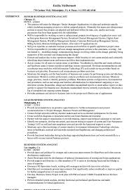 Business System Analyst Resume Samples Velvet Jobs