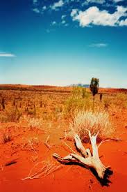 Nature Iphone Wallpaper Idesign Iphone Australian Travel Australia Outback Australia