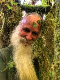 Avenue of the Giants Ca.