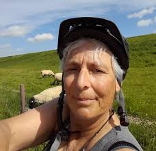 Dies ist eine Headline