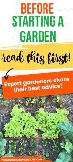 Starting A Garden Expert Advice From Experienced Gardeners Starting A Garden Gardening For Beginners Healthy Garden