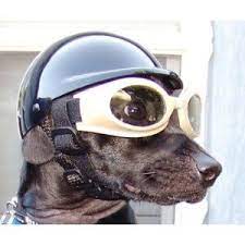 Dog Helmet Dog Helmets Dog Helmet Biker Dog Helmet