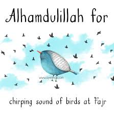 Birds Chirping In The Morning Islam Alhamdulillah For Chirping Sound Of Birds At Fajr Alhamdulillahforseries Ramadan Edition For Muslimah Bloggers Alhamdulillah Islam Facts Ramadan