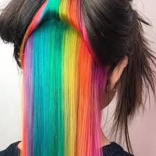 But im starting to get bored with just having black hair. 97 Cool Rainbow Hair Color Ideas To Rock Your Summer
