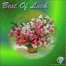 Teluguone Greetingsflowers Cards Free Flowers Ecards Greeting Cards Greetings Orchid Flower Get Well Cards Flowers Ecards For A Friend Virtual Flower Cards Virtual Flowers Free Online Flowers Roses Ecards