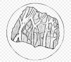 Metamorphic Rock Geology Journal Of The Geological Society Drawing Png 734x720px Watercolor Cartoon Flower Frame Heart Download in under 30 seconds. metamorphic rock geology journal of the