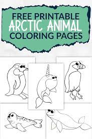 Cute coloring pages of baby animals, farm animals, insects, and zoo these fun animal coloring pages make any time a happy time! Free Printable Arctic Animal Coloring Pages Simple Mom Project