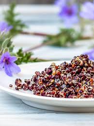 Buddha Bowl Au Quinoa Noir Et Autres Saveurs Vegetales