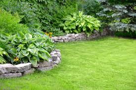 Not only is it mowing but you also need to take these grass are commonly blended with either fescues or bentgrass. How To Get Rid Of Crabgrass In Your Lawn Naturally