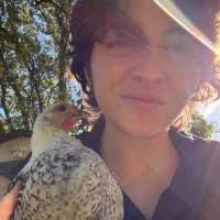 Todd Beckwith Email & Phone Number