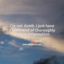 I M Not Dumb I Just Have A Command Of Thoroughly Useless Information Idlehearts