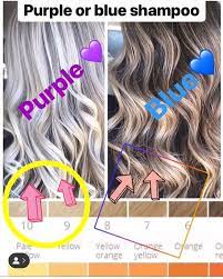 I Thought This Would Be A Good One To Post Someone Asked Me If I Like Purple Or Blue Shampoo It Depends On Wha Hair Dye Shampoo Brassy Hair Blonde