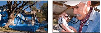 Great Panther Silver Ltd.: Exhibit 99.1