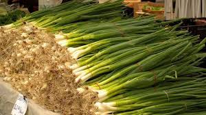 Jadi, letakkan botol air berisi daun bawang di tempat lain yang sejuk dan kering. Manfaat Ini Bakal Kamu Rasakan Jika Minum Air Rebusan Bawang Daun Sebelum Tidur Pos Belitung