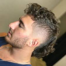 We do things like 60's ferrari's, porsches and other stock exotics. 50 Cool Mullet Hairstyles For Men 2021 Haircut Styles