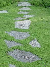 His yard is an oasis of flowering trees, native wildflowers and cool, rich moss, dotted with twinkling bluets. Which Plants To Use As Lawn Alternative Lawn Alternatives Backyard Grass Alternative Grass Alternative