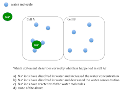 Egg osmosis lab answers to lab sheet pdf download pdf download. Osmosis Teaching Resources The Science Teacher