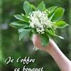 Image muguet 1er mai photo muguet muguet fleur muguet de mai bouquet de muguet brin de muguet muguet porte bonheur fete du 1er mai carte dans le jardin, la coccinelle et le muguet se sont unis pour vous porter bonheur. Https Encrypted Tbn0 Gstatic Com Images Q Tbn And9gcrhcacfsdch4jop0pres3mlwcwer2jnl Adfcpfdlc Usqp Cau