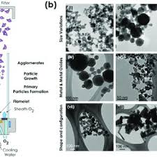 Metal kitchen rack w \/metal rods and cones diagram of digestive system. Pdf Development Of Reference Metal And Metal Oxide Engineered Nanomaterials For Nanotoxicology Research Using High Throughput And Precision Flame Spray Synthesis Approaches