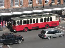 Come see what I saw!