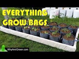 Grow Bags 101 Welcome To My Grow Bag Urban Homestead Youtube Grow Bags Grow Bag Grow Bags Gardening
