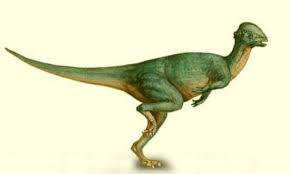 Walgettosuchus is a dubious or maybe even invalid genus of extinct tetanuran theropod dinosaur, possibly belonging to the walgettosuchus. Dinosaur Facts On Twitter Wannanosaurus Dinosaur English Name Lizard From Wannan Description Walgettosuchus Belongs To The Family Of Theropod Dinosaur That Had Been Found Existed In The Albian Age Of The Late