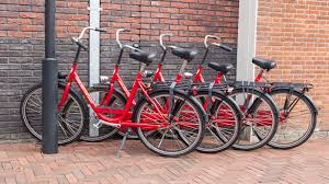 Mieten Sie Ein Fahrrad Im Bollenstreek Flower Tour